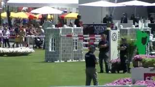 Video von Quorida de Treho