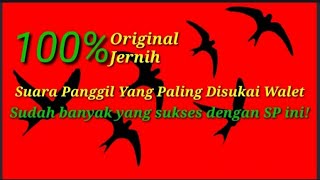 Download lagu Original suara panggil walet, is the Best👍 suara panggil walet asli jernih mp3 Download lagu Original suara panggil walet, is the Best👍 suara panggil walet asli jernih mp3