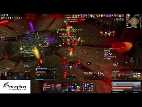 Perception vs Primordius 10 HC