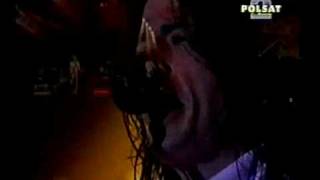 Foo Fighters - Down in The Park (Live) - Sopot Rock &amp; Pop Festival