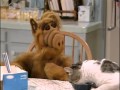 ALF German Deutsch ALF Und Das SLT Sandwich