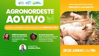 Manejo sanitário e instalações na suinocultura