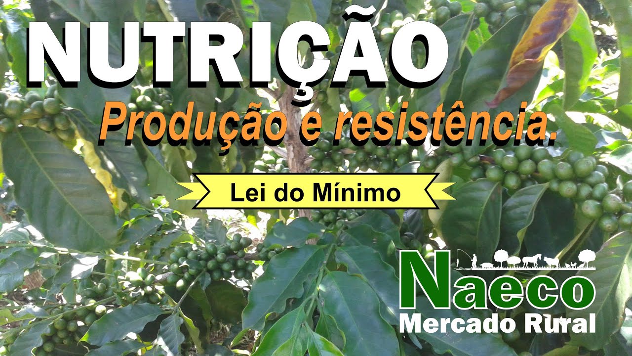 Nutrição - Lei do Mínimo