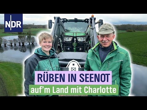 , title : 'Klappt das mit der Rüben-Ernte bei Charlotte Schlichting? | Folge 14 | NDR auf'm Land'