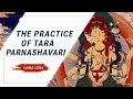 Social & Ecological Harmony: Pacifying the Mamos w/ Tara Parnashavari Practice