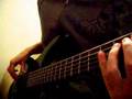 pushed again - die toten hosen (bass cover) 