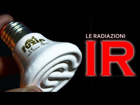 Larticolazione del gomito non è unbent dopo lallenamento Benda sulla caviglia elastico buy farmacia