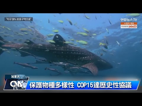聯合國生物多樣性峰會 達成歷史性自然保護協議