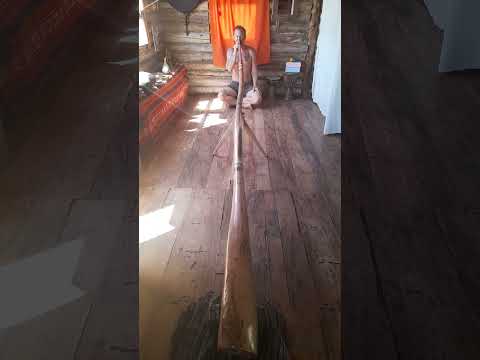 Deep didgeridoo tuned in D.