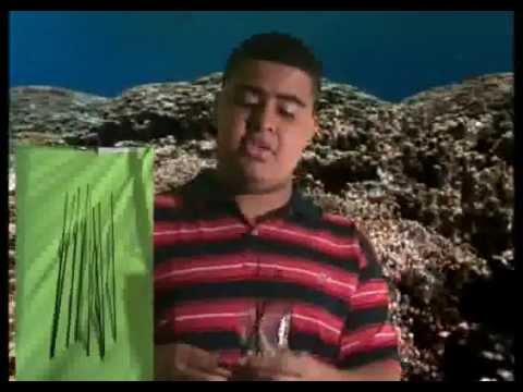 Nos Bastidores da Igreja Universal