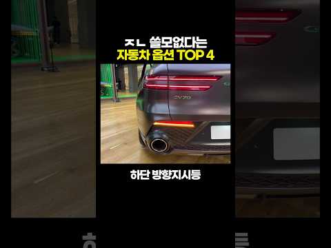 ㅈㄴ '쓸모없다'는 자동차 옵션 TOP 4