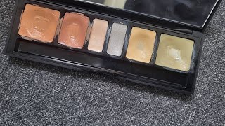 [心得] 值得一試的鄭瑄茉專業六色遮瑕盤