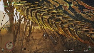 Monster Hunter Wilds Beta test_20241031120215