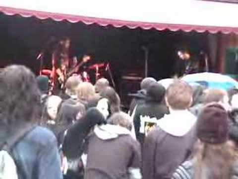 T-GUL - the song & blomman