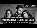 Mohabbat Tujhe Alvida - [ Slowed + Reverb ] - Sahir Ali Bagga | Pakistani Ost | Sad Lofi Ost