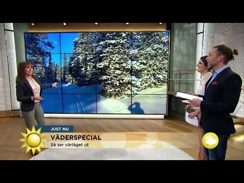Så blir vädret under första sportlovsveckan - Nyhetsmorgon (TV4)