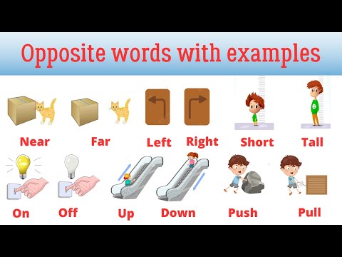Opposite Words: Learn and Practice with Fun Exercises! #opposition #englishvocabulary