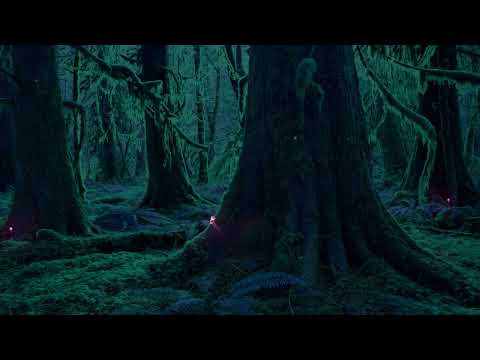 🍄 Enchanted Mushroom Forest 🌲 Magical Night Ambience, Fireflies, Nature ASMR, Frogs, Crickets