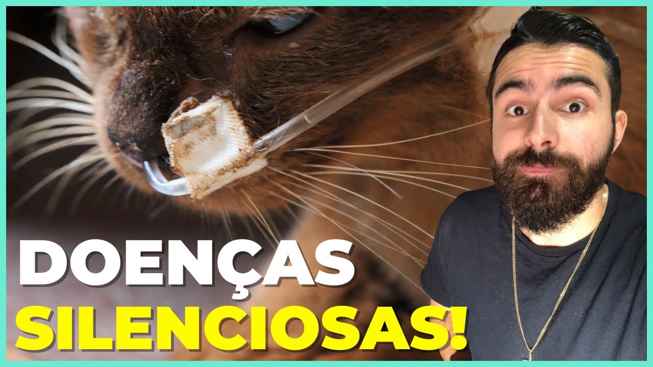 Sinais INICIAIS De FIV e FELV