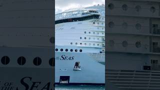 Symphony of the Seas 🛳️ #like #share #comment #subscribe #cruiseship #cruise #vacation #shorts #yt