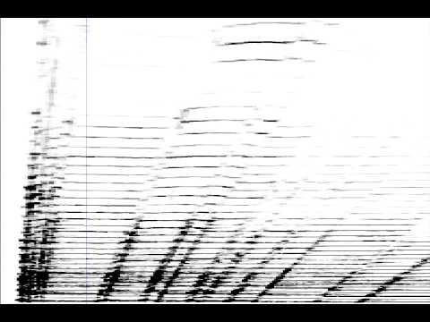 Graphical Transformations - Max/MSP/Jitter Spectral Sound Processing 1