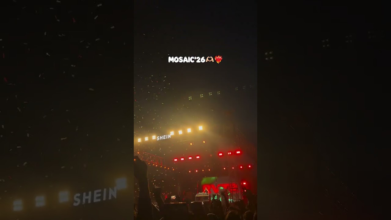 Fest Vlog