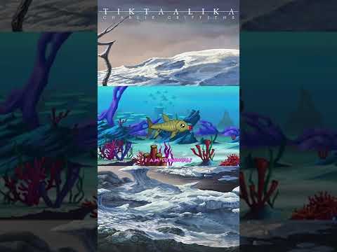 CHARLIE GRIFFITHS - Tiktaalika - New album out now! #shorts #haken #progmetal