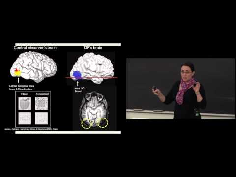 York Circle - Understanding Brain Function
