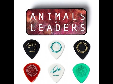 Animals as Leaders Picks