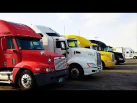 Un Negocio— Roble Copaneco