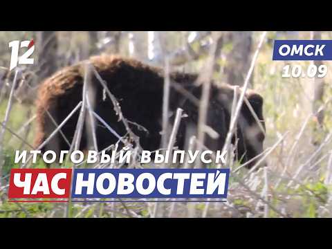 Медведи выходят к людям / Новая схема оплата проезда / Вернули зрение. Новости Омска
