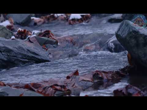 SLEEPY SPECIAL “Soothing Gold” [3Hz Delta Brain Waves] Sleep Music - Binaural Beats