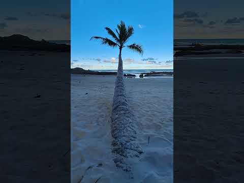 É a Bahia...! É ILHÉUS BAHIA 😎 🌴☀️🌊