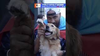会場内や周辺では“ワン”ダフルなサポーターの姿も見かけます⚽ ワールドカップはあと2試合！3位決定戦と決勝をGTV＆BSP4Kで生中継 FIFAワールドカップ2026 | NHK | #shorts