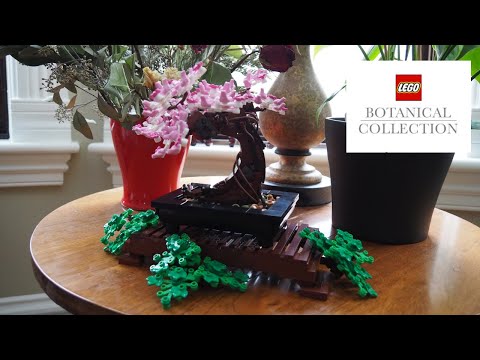 LEGO Botanical Collection Bonsai Tree Review (2021 18+ Set 10281)