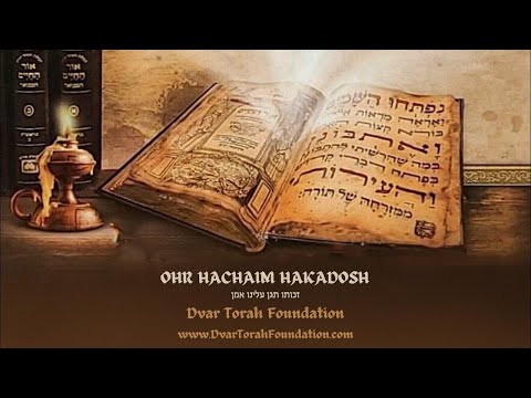 Ohr Hachaim Hakadosh Parshat Vayeishev - Yosef in the Pit: What Really Happened? - By Rabbi Silver