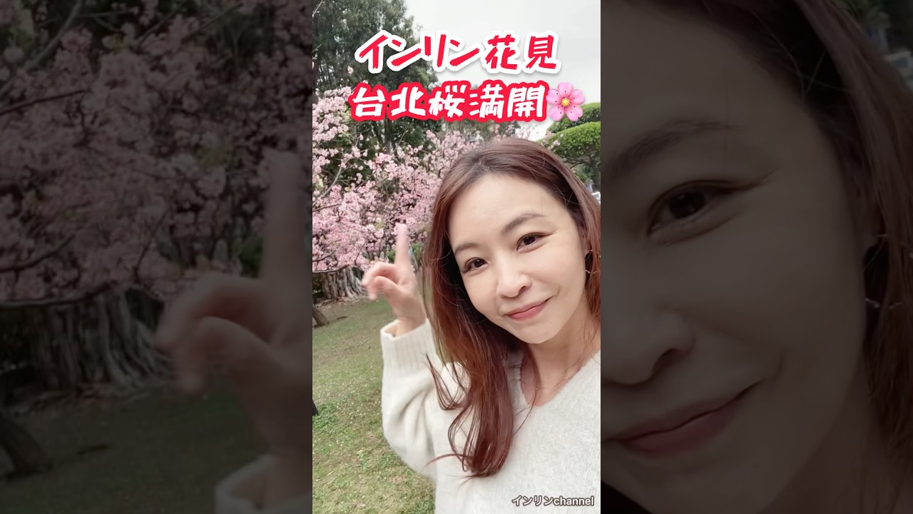 台北で桜先取り🌸2月で満開！#台灣 #桜 #國父紀念館
