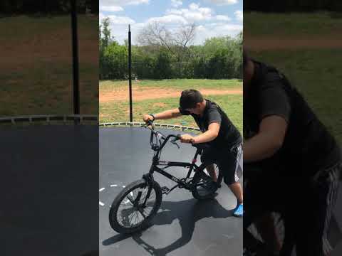 Tromplen dumbass do stunts