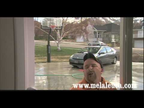 download lagu mp3 mp4 Melaleuca Stainless Steel Cleaner, download lagu Melaleuca Stainless Steel Cleaner gratis, unduh video klip Melaleuca Stainless Steel Cleaner