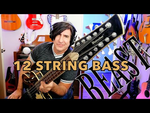 12 STRING BASS GUITAR - WATERSTONE - REVIEW - IT'S A BEAST