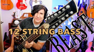 Video thumbnail for 12 STRING BASS GUITAR - WATERSTONE - REVIEW - IT'S A BEAST by Martin Blasick