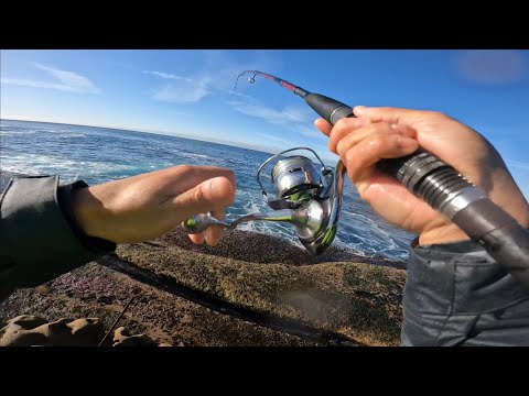 Float fishing for pelagics in Winter | Rock Fishing | Bait fishing Sydney, NSW Australia