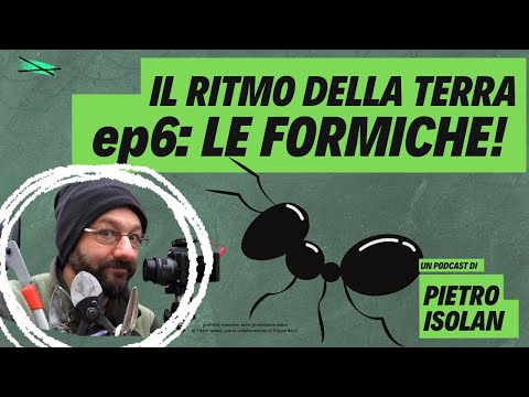 LE FORMICHE - il ritmo della terra, coltivare è pop! - ep 6