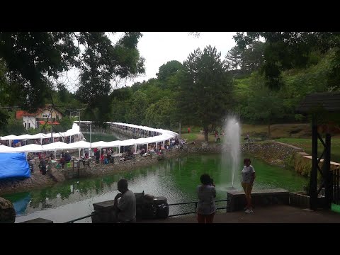 Dani banice, Bela Palanka 2022 - Srbija u kadru