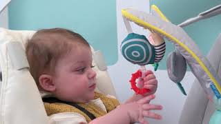 Taf Toys Hrací pultík do auta Koala Hrací pultík do auta Taf Toys