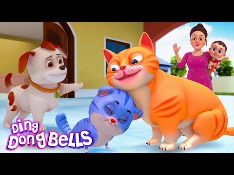 म्याऊं म्याऊं बिल्ली करती  | Meow Meow Billi Karti v2 | Hindi Rhymes for Children | Ding Dong Bells