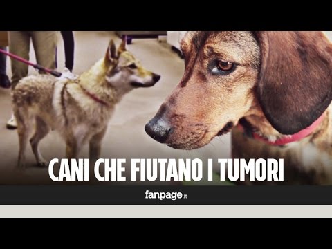 Cambiamenti diffuse delle cause prostata Il sesso dopo lintervento rotondo BPH