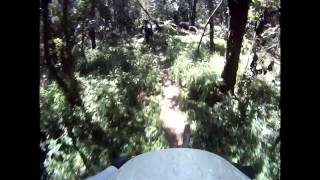 Monkey Machete Mayhem headcam highlights - 5 mins.