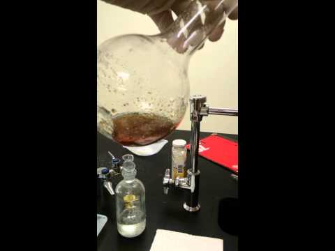 We Dun Goofed, The Movie