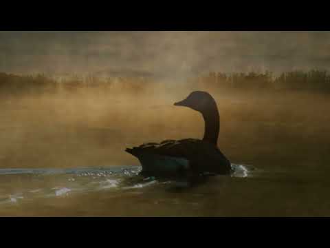 Brendan Power - UNADORNED - (Album Sampler)